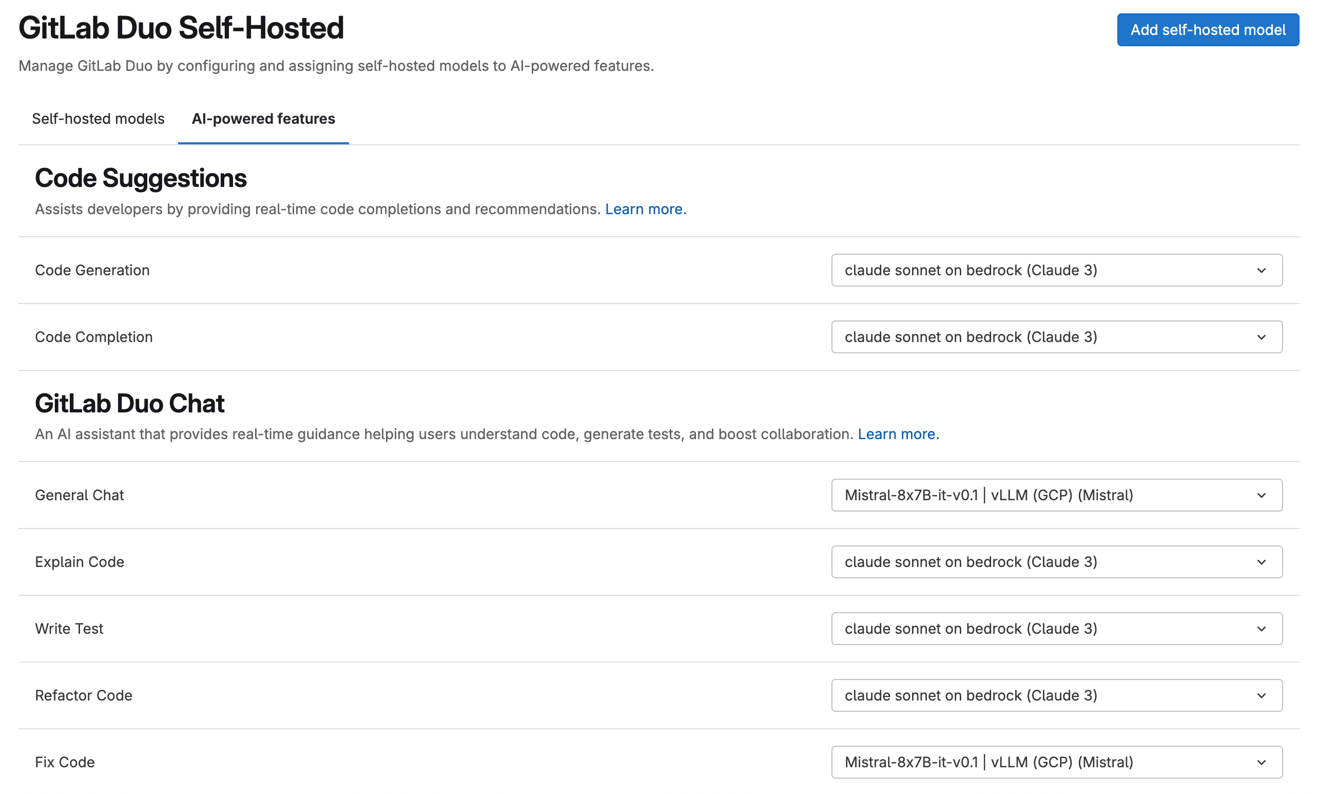 GitLab Duo Self-Hosted Feature Configuration