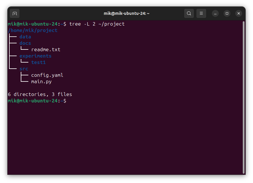 Вывод tree показывает структуру project